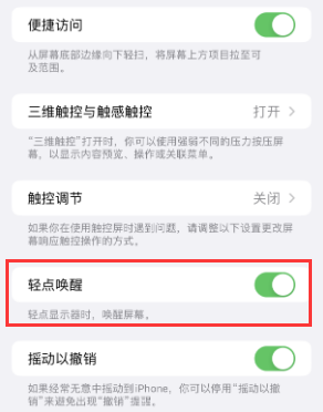 陇西苹果授权维修站分享iPhone轻点无法唤醒怎么办