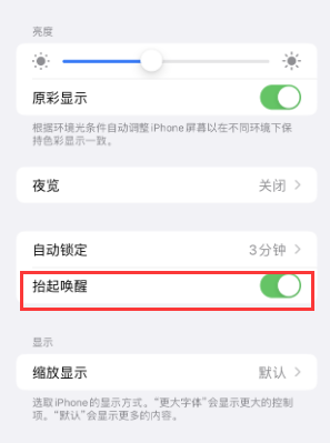 陇西苹果授权维修站分享iPhone轻点无法唤醒怎么办