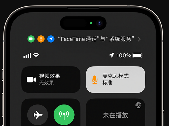 陇西苹果授权维修网点分享iPhone在通话时让你的声音更清晰 