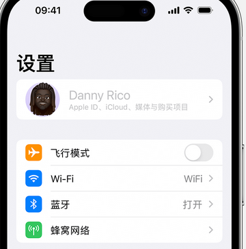 陇西appleID维修服务iPhone设置中Apple ID显示为灰色无法使用 