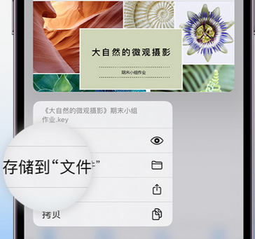 陇西apple维修中心分享iPhone文件应用中存储和找到下载文件