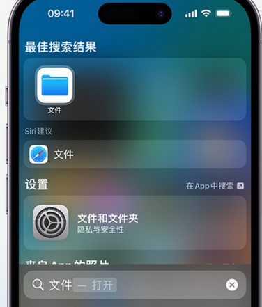 陇西apple维修中心分享iPhone文件应用中存储和找到下载文件 