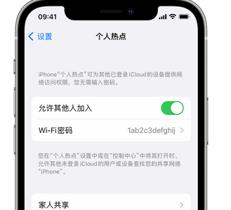 陇西apple服务站点分享iPhone上个人热点丢失了怎么办 