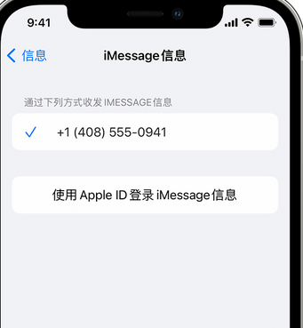 陇西apple维修iPhone上无法正常发送iMessage信息 