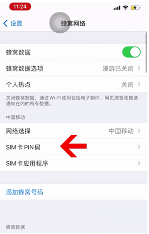 陇西苹果14维修网分享如何给iPhone14的SIM卡设置密码 