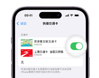 陇西apple维修点分享iPhone上更换Apple Pay快捷交通卡手绘卡面 