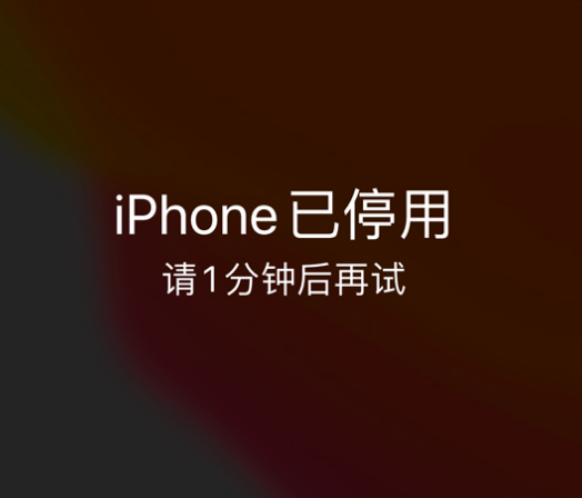 陇西苹果手机维修分享:iPhone 显示“不可用”或“已停用”怎么办？还能保留数据吗？ 