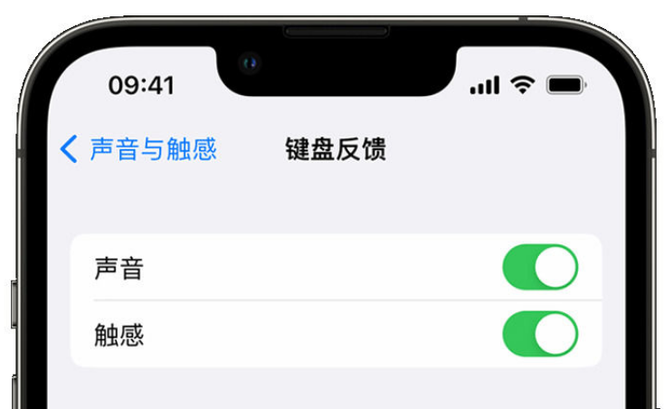 陇西苹果手机维修分享iPhone 14触感键盘使用方法 