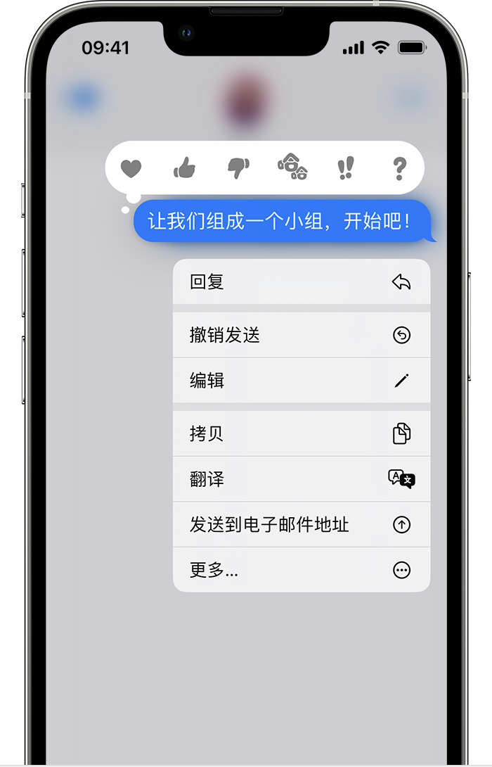 陇西苹果手机维修分享iPhone 信息发送后多长时间内可以撤回或编辑 