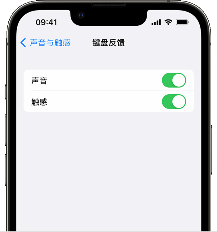 陇西苹果14维修店分享如何在 iPhone 14 机型中使用触感键盘 