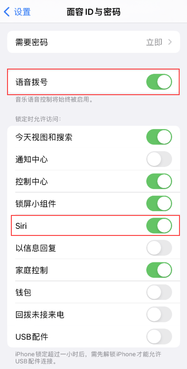 陇西苹果维修网点分享不解锁 iPhone 的情况下通过 Siri 拨打电话的方法 