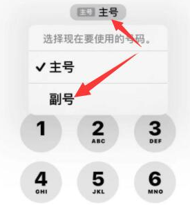 陇西苹果14维修店分享iPhone 14 Pro Max使用副卡打电话的方法 