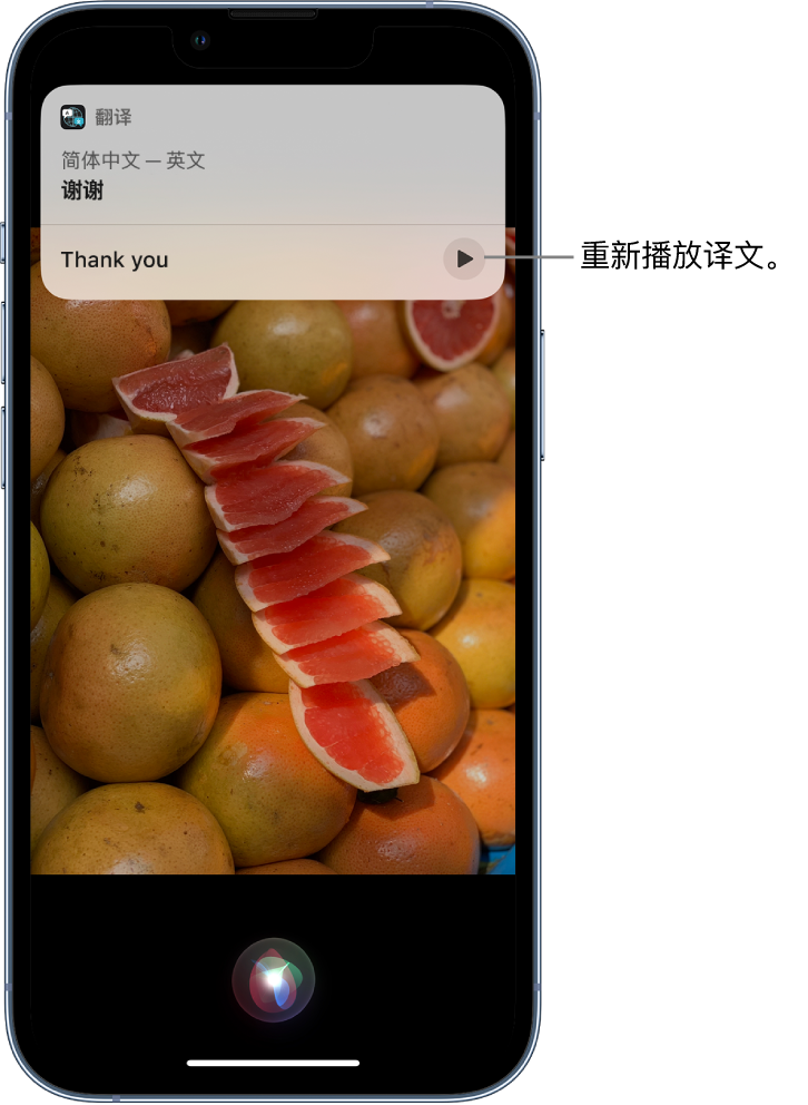 陇西苹果14维修分享 iPhone 14 机型中使用 Siri：了解 Siri 能帮你做什么 