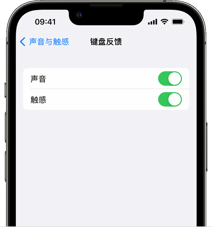 陇西苹果14维修分享iPhone 14 系列机型如何开启键盘声音或触感反馈 