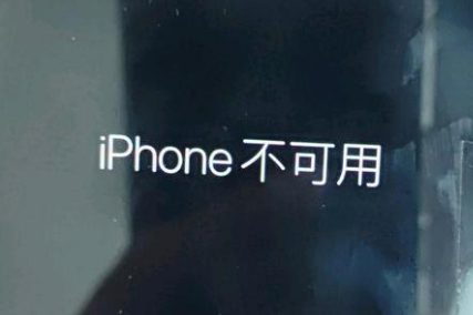 陇西苹果服务网点分享锁屏界面显示“iPhone 不可用”如何解决 