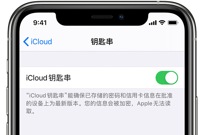 陇西苹果手机维修分享在 iPhone 上开启 iCloud 钥匙串之后会储存哪些信息 