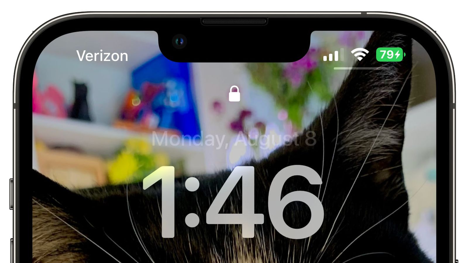 陇西苹果手机维修分享iOS 16 beta 5 支持状态栏显示电池百分比，如何开启？支持哪些机型 
