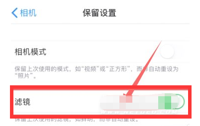 陇西苹果13维修分享iPhone13拍照有绿点是怎么回事 