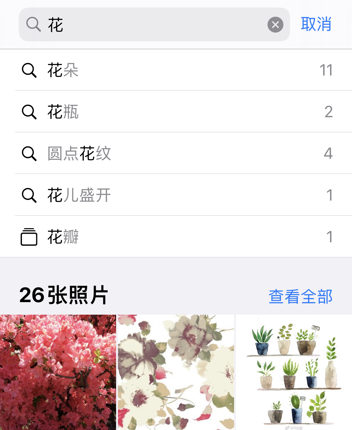 陇西苹果手机维修分享iPhone 小技巧 