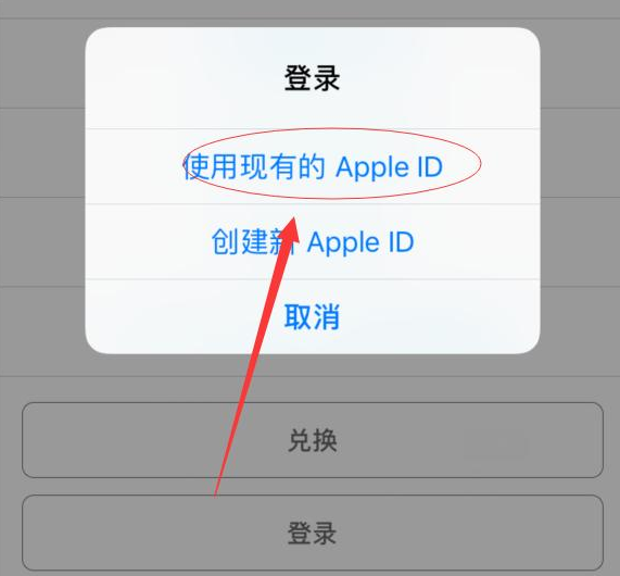 陇西苹果手机维修分享两台iPhone设备可以同时登录一个Apple ID吗 
