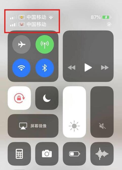 陇西苹果手机维修分享为 iPhone 12 双卡设置标签 