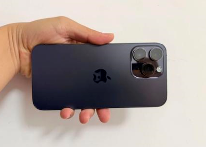 陇西苹果维修点分享iPhone 14 Pro Max黑屏少见故障盘点 